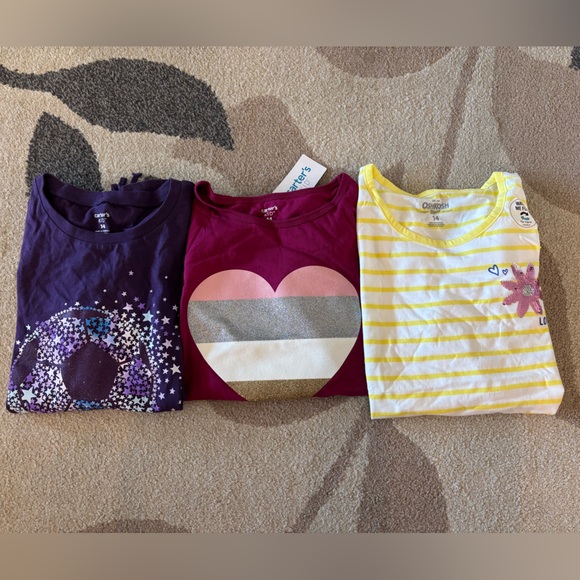 Carter's Other - Carter’s Girl’s Long Sleeve Top Bundle, size 14-NWT